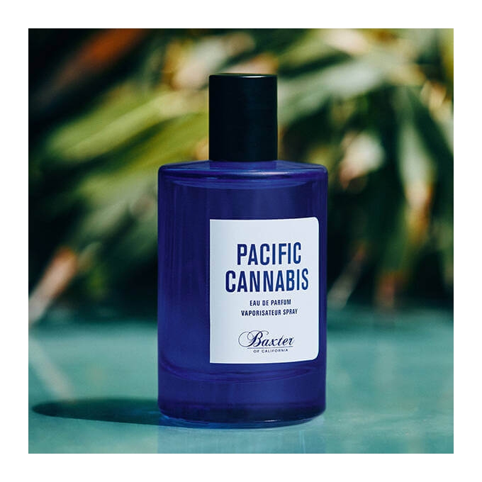 Baxter Pacific Cannabis parfémovaná voda 100 ml